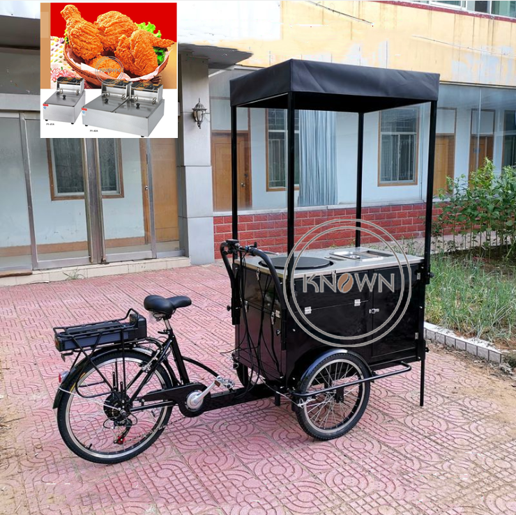 Customized Cargo Electric Tricycle for Sale Flower Adult Manpower 3 Wheel Bike with CE Certification