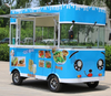 3.5m Long Fashionable Electric Cart Mobile Ice Cream Cart for Sale