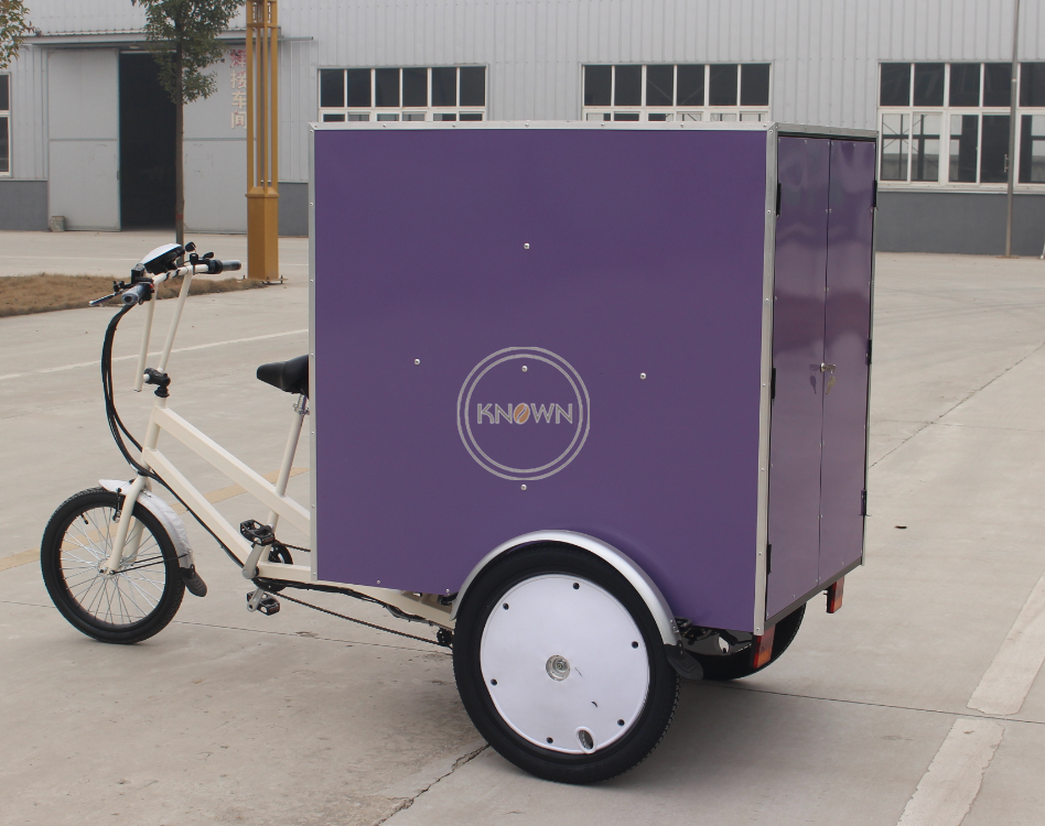 OEM Outdoor Electric Cargo Bike Tricycle Mobile Truck Food Carry Goods 3 Wheel Cart for Sale