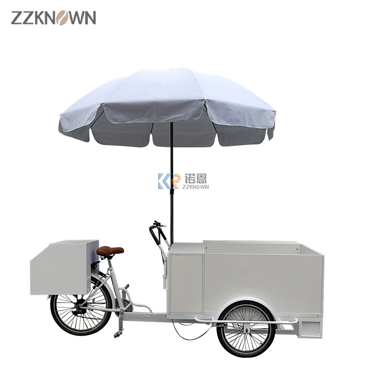 3 Wheel Ice Cream Bike Electric Food Trike Delivery Tricycle Cargo Tricycle for Sale