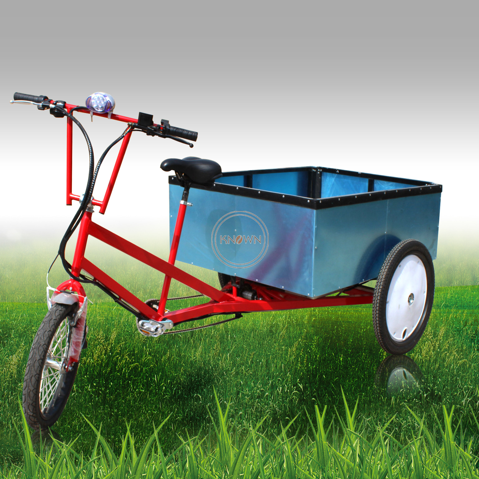 European Quality Aluminum Alloy Electric Bike Cargo 3 Wheel Electric Cargo Bike 