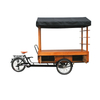 Vending Bicycle Adult Tricycle Electric Cargo Bike Street Outdoor Beverage Drink Coffee Van Food Cart for Sale Customizable