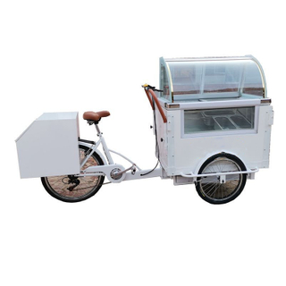 350w Portable Ice Cream Carts Bicycle Street Vending Cart Cargo Bike Tricycle Electric Trike for Adults