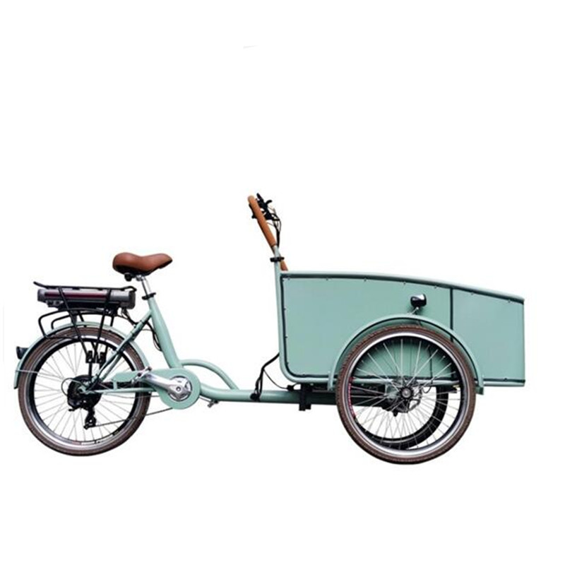 Pedal Electric Dutch Adult Tricycle Blue Color Cargo Bike Street Vending Cart for Sale Customizable