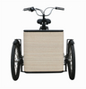 Adult Tricycle Mini Electric Mobile Cargo Bike Shopping Cart Trike Carrying Kids Children Pets Dog Bakfiets Customizable