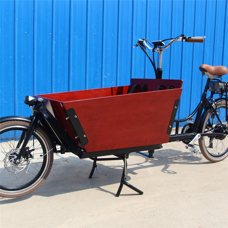 Pedal Electric Dutch Adult Tricycle 3 Wheels Cargo Bike Family Bicycle Kids Scooter Street Vending Cart for Sale Customizable