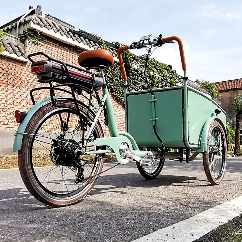 Pedal Electric Dutch Adult Tricycle Blue Color Cargo Bike Street Vending Cart for Sale Customizable
