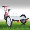 3 Wheel Electric Cargo Bicycle Customized Transport Bike for Last Mile Delivery 