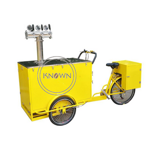 Customized Electric Cargo Tricycle for Sale Philippines Food Vending Bike with Hot Dog Ice Cream