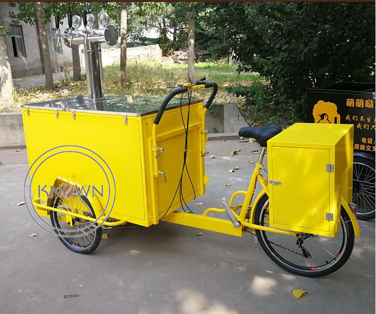 Customized Electric Cargo Tricycle for Sale Philippines Food Vending Bike with Hot Dog Ice Cream