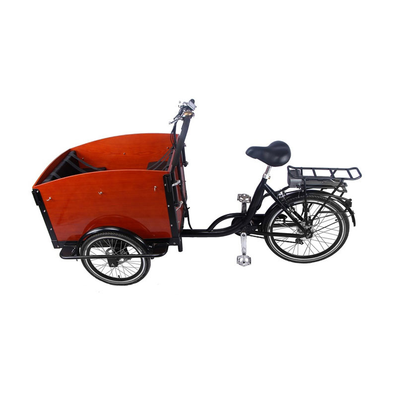 3 Wheels Pedal Electric Cargo Bike Dutch Adult Tricycle Family Bicycle Street Kids Scooter for Sale Customizable