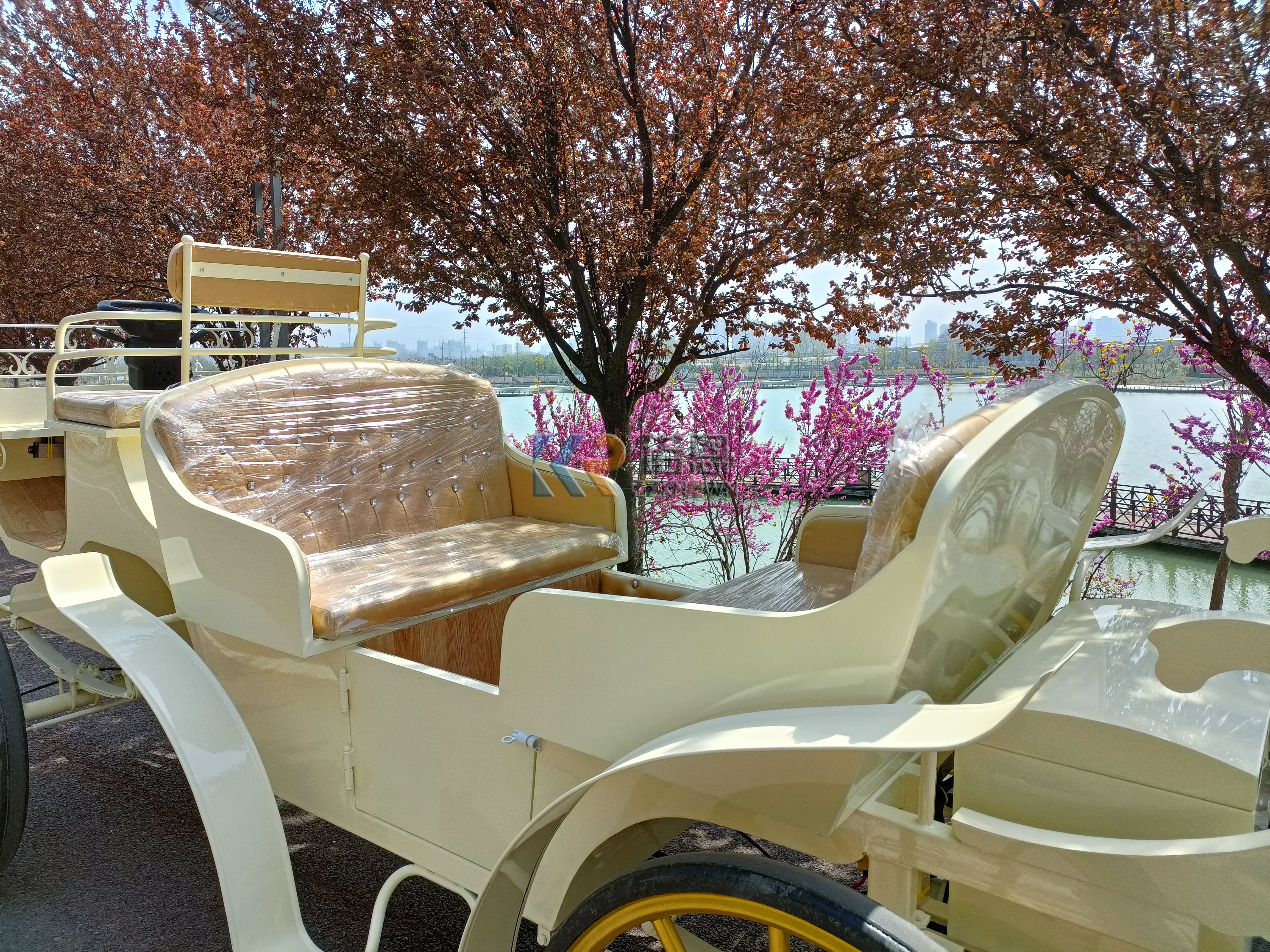 Victoria Royal Horse Carriage Electric Sightseeing Car Tourist Shuttle Bus Passenger Reception Vehicles