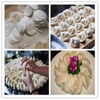 High Quality China New Style Home Mini Empanada / Dumpling /Flour Tortilla/ Roti Wrapper Making Machine
